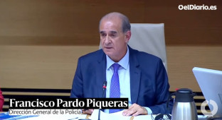 El director de la Policía Nacional responde a Vox por vincular inmigración y delincuencia: "Es una mentira como la copa de un pino"